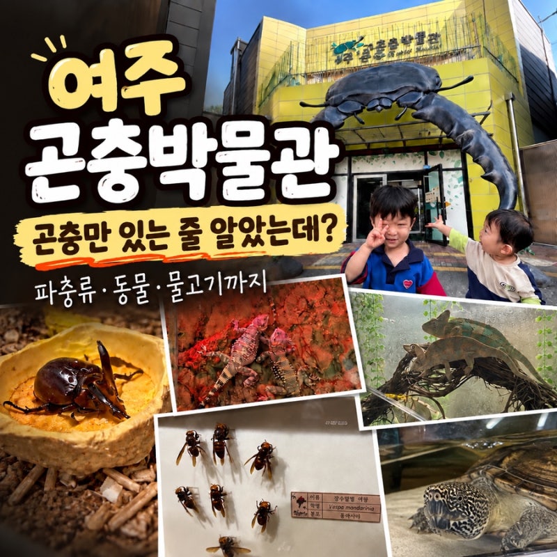 여주곤충박물관 아이와 가볼만한 곳｜곤충부터 파충류·물고기까지 직접 다녀온 후기