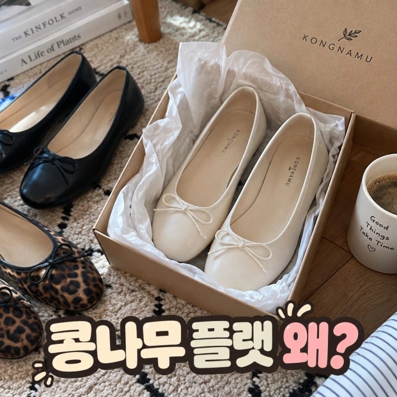 콩나무 플랫 오픈하자마자 왜 ?