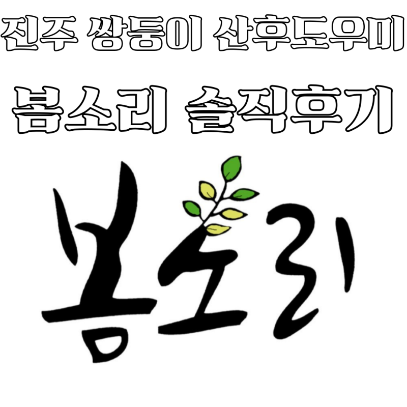 [진주 쌍둥이 산후도우미] 봄소리 진주점 솔직후기