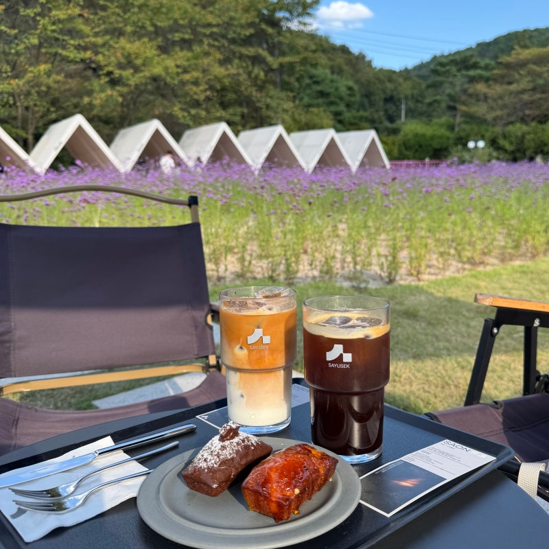 Sayusaek, a Large Cafe in Pocheon: An Honest Review of Its Purple Flower Garden and Financiers Near Gwangneung Arboretum