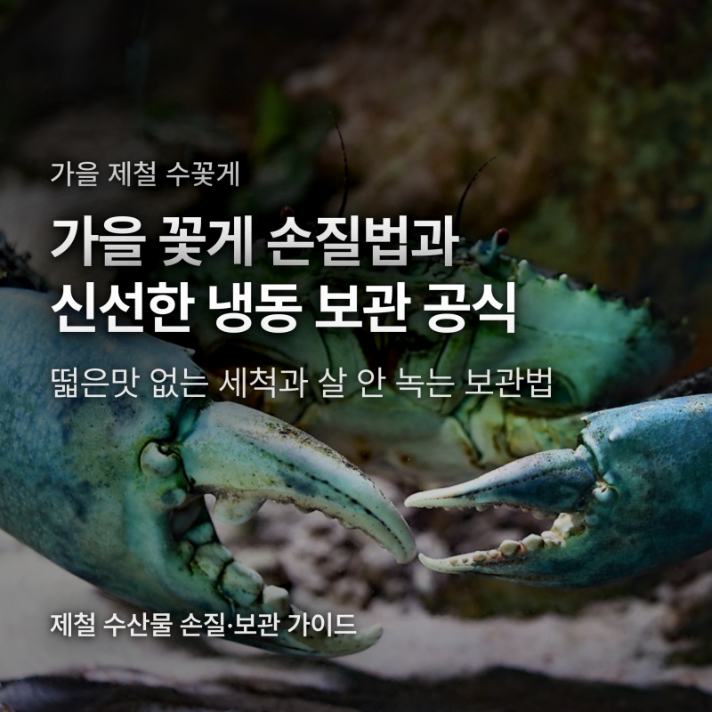 가을 꽃게 손질법과 냉동 보관법, 떫은맛 없애는 부위와 살 안 녹는 보관 공식