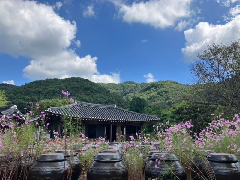 (콩)화순동면맛집 달맞이 흑두부& 행복한 한끼