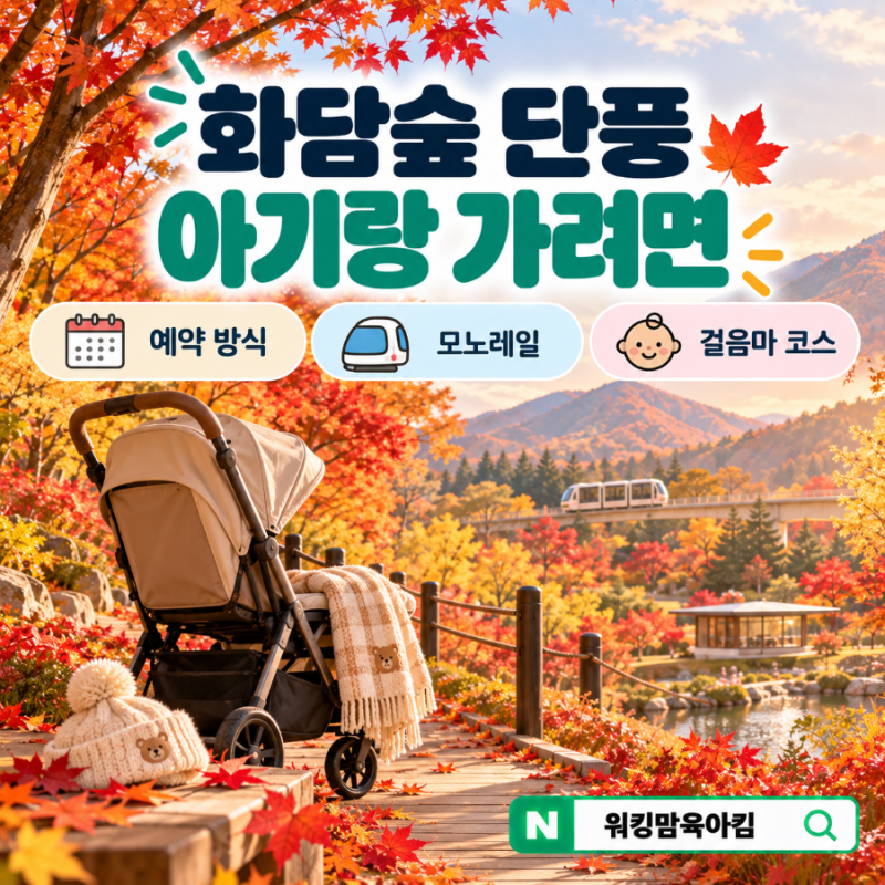 화담숲 아기랑 가을 단풍｜예약 방법·모노레일·유모차 코스 정리