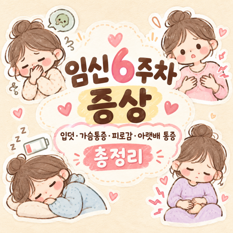 임신 6주차 증상｜입덧·가슴통증·피로감·아랫배 통증 총정리