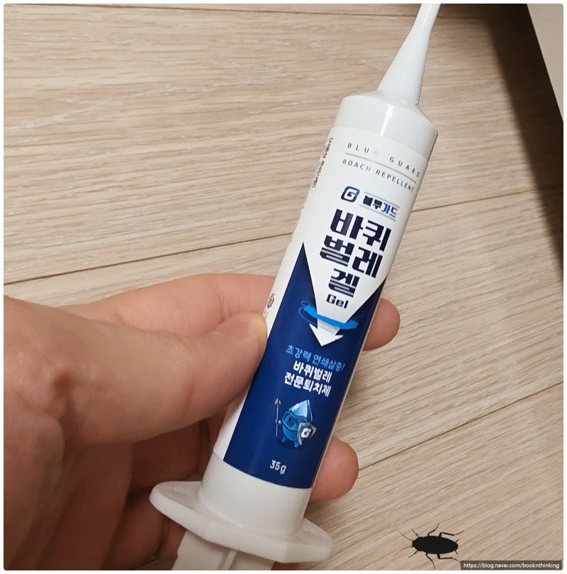 바퀴벌레 없애는 법, 종류 구분부터 둥지까지 없애는 순서