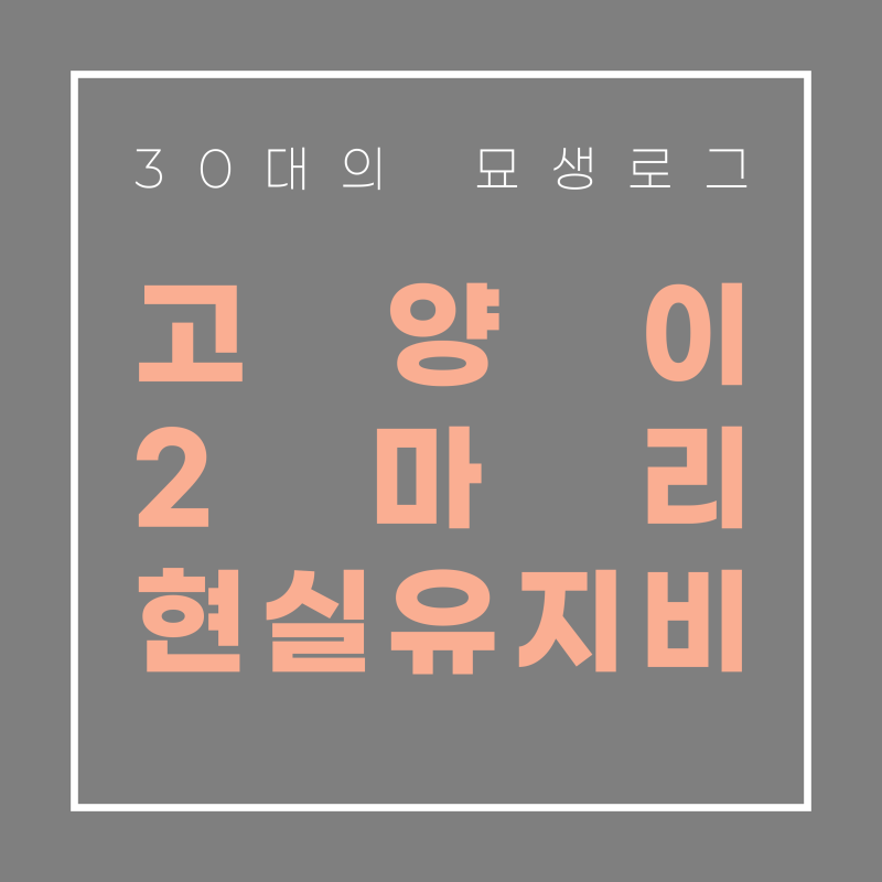 [고양이 2마리 한달 유지비] 7살 쫑이 5살 마늘이 밥이보약 카사바모래 실제 결제 내역 공개 : ....