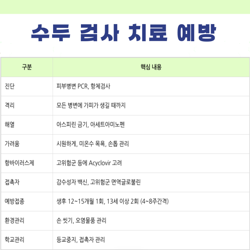 수두 진단검사 치료 예방 방법 예방접종 백신