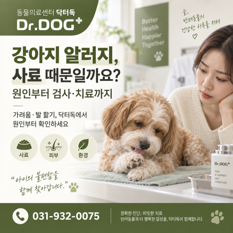 강아지 알러지, 사료 때문일까요? 원인부터 검사·치료까지｜일산 24시 동물병원