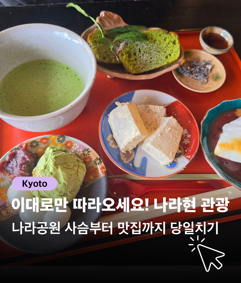 [일본 교토] 나라 여행 당일치기 코스 추천 | 이대로만 따라오세요! 나라공원 카페 맛집 관광 ....