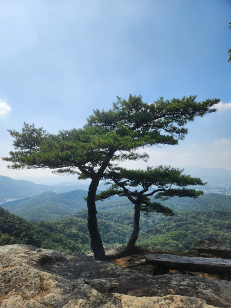 구미는 하늘이 내려주었다는 천생산이 자리잡고있죠 금오산을 마주보는 아름다운 정상으로 ....