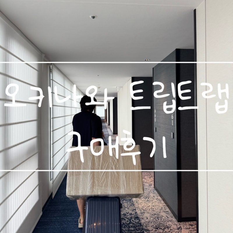 ✨임신 19주차✨태교여행 오키나와 3박4일 여행 아카짱혼포 트립트랩 구매후기[26.9.2~26.9.5]