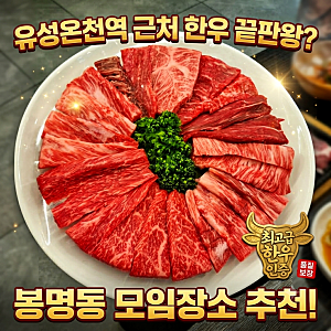 대전 워낭명가｜유성온천역 근처 봉명동 맛집 한우 끝판왕?