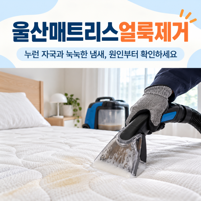 울산매트리스얼룩제거 통해 가을철 침대 지린내와 눅눅한 냄새 해결법