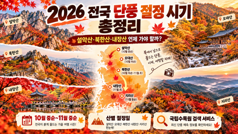 2026 전국 단풍 절정 시기 총정리｜설악산·북한산·내장산 언제 가야 할까?