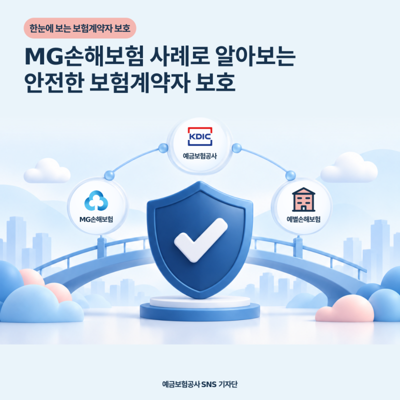 MG손해보험 사례로 알아보는 안전한 보험계약자 보호