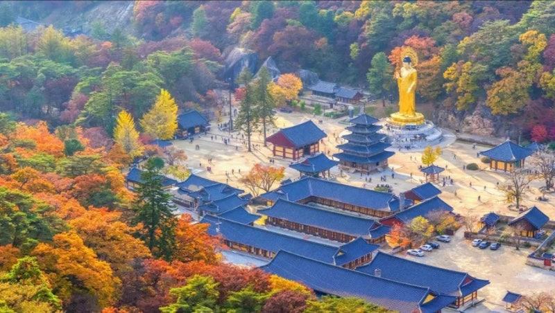 2026 속리산 단풍 명소 총정리｜법주사·세조길·말티재 가을여행