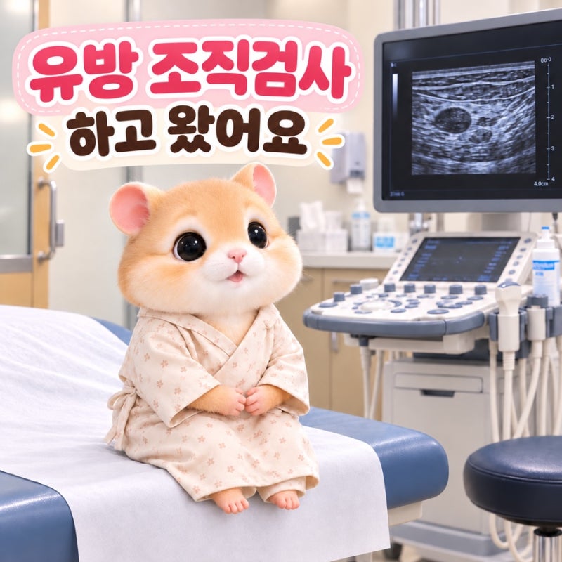 유방 조직검사 Q&A｜생리 중 가능? 금식은? 검사 후 통증은 어느 정도? 샤워·운동은 언제부터?
