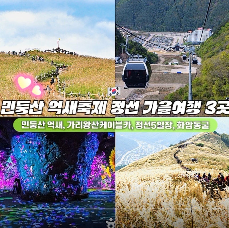 민둥산 억새축제 총정리 그리고 같이가기 좋은 정선 가을여행 코스 3곳(가리왕산케이블카, ....