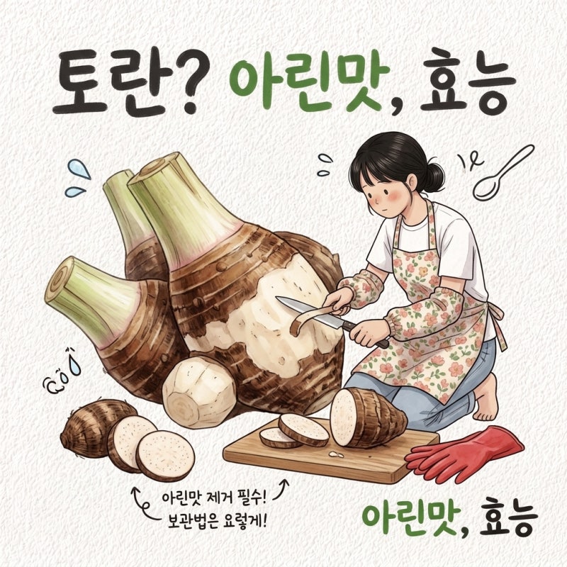 추석 지나면 손도 안 대고 묵힘 토란 효능 영양성분 제철 손질 보관법 아린맛