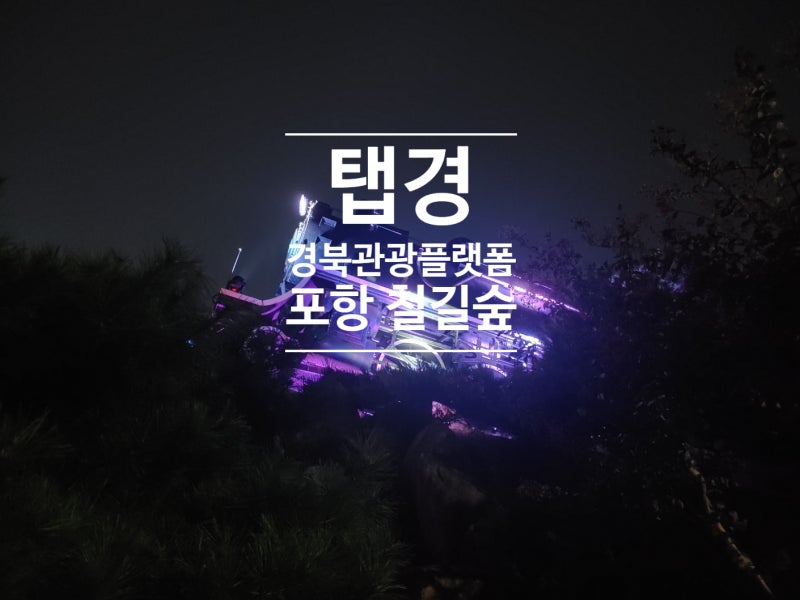 [탭경]경북관광플랫폼/포항 철길숲/다국어 서비스/마이스모어