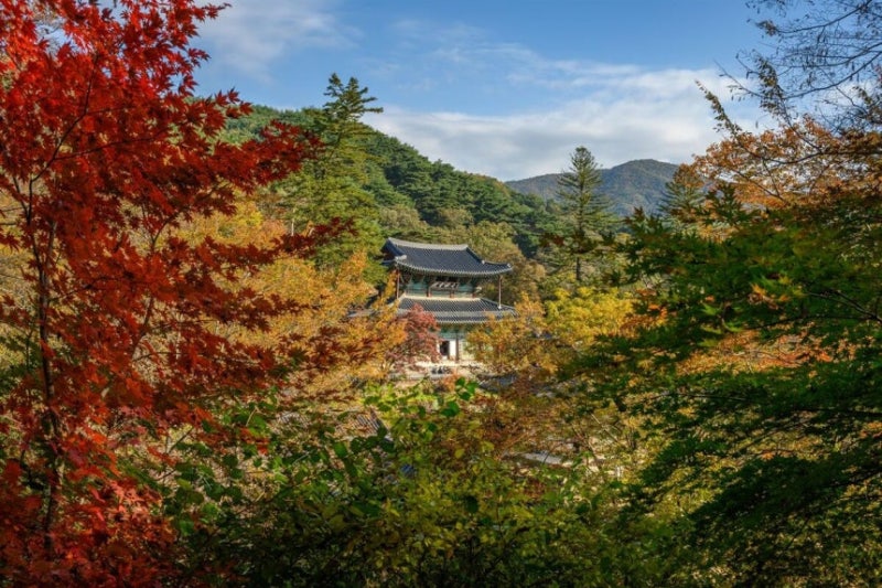 공주 마곡사 단풍, 유네스코 세계유산을 무료로 즐기는 법