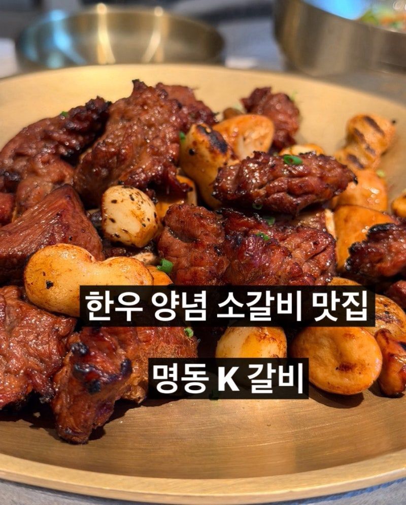 서울시청 명동K갈비 후기｜명동역·을지로입구역 근처 갈비 맛집