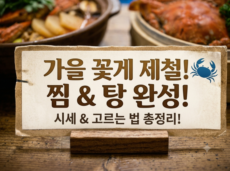 가을 활꽃게 제철 시기 및 최신 시세 총정리! 싱싱한 숫꽃게 고르는 법 & 구별 팁