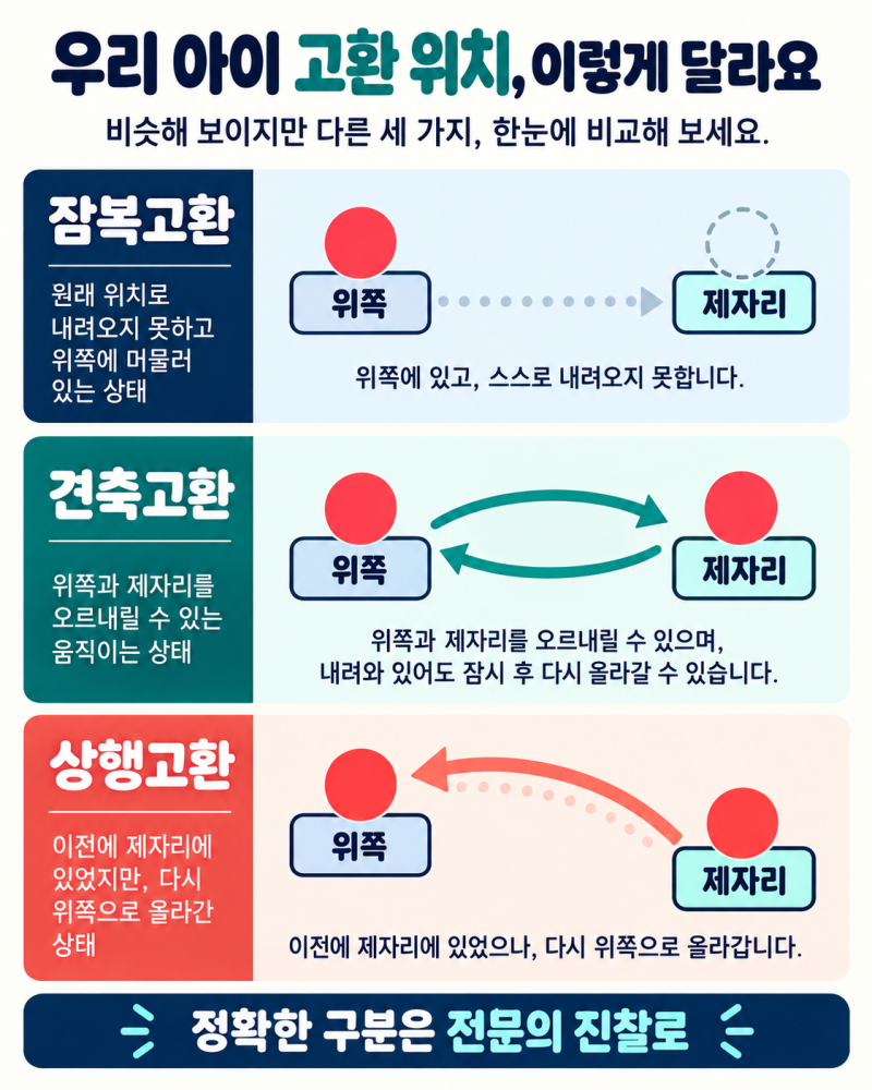 잠복고환·견축고환·상행고환 차이｜왔다 갔다 해도 수술이 필요할까?