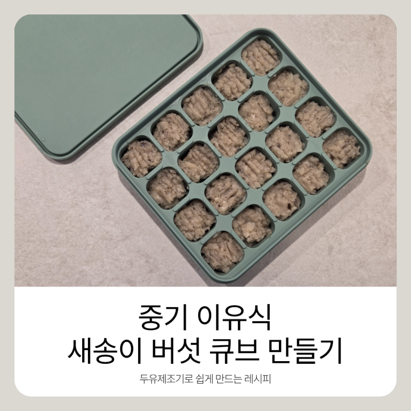 중기 이유식 새송이버섯 큐브 만들기 | 세척과 손질 입자 조절까지 (feat. 마이아 두유제조기)