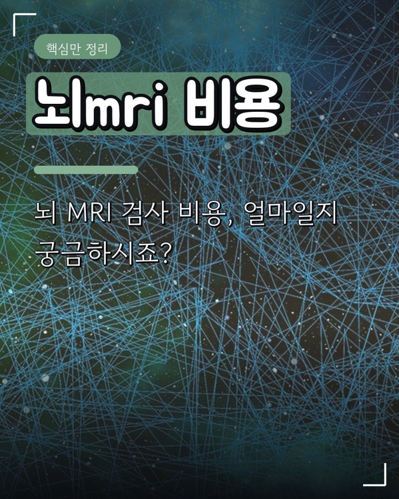 뇌mri 비용