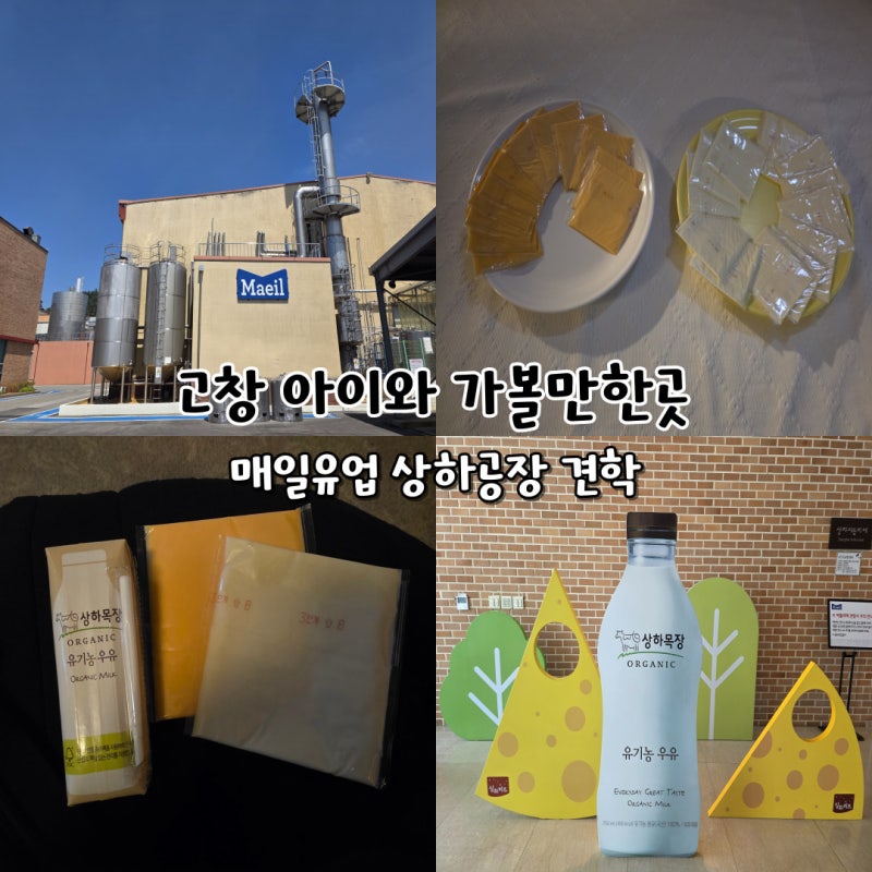 고창 아이와 가볼만한곳 매일유업 상하공장 견학 예약 방법 후기