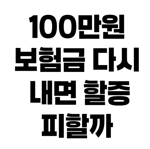 100만원 보험금 다시 내면 할증 피할까