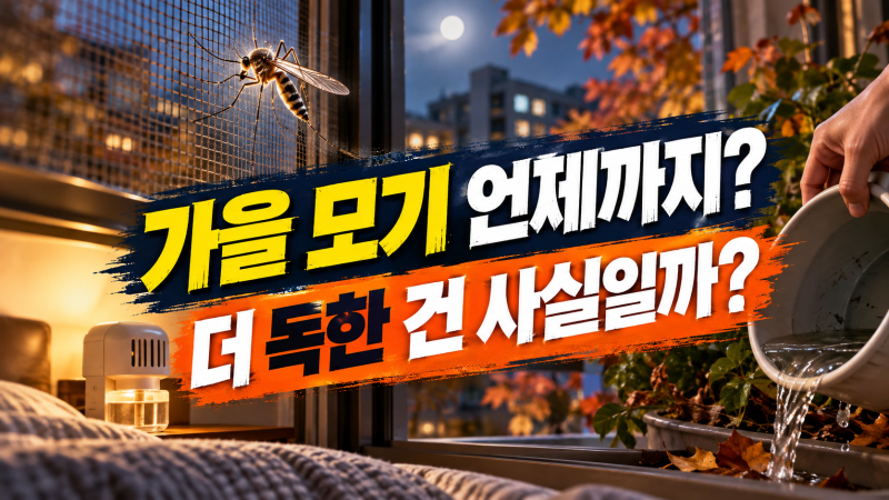 가을 모기 언제까지 있을까? 더 독하게 느껴지는 이유와 퇴치 방법