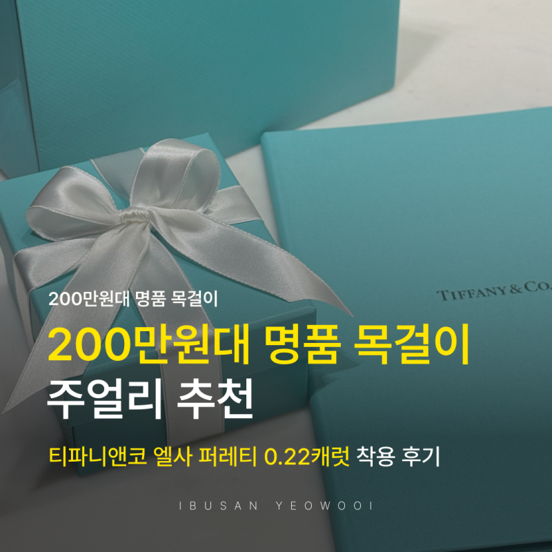200만원대 명품 목걸이 주얼리 추천 티파니앤코 엘사 퍼레티 0.22캐럿 착용 후기