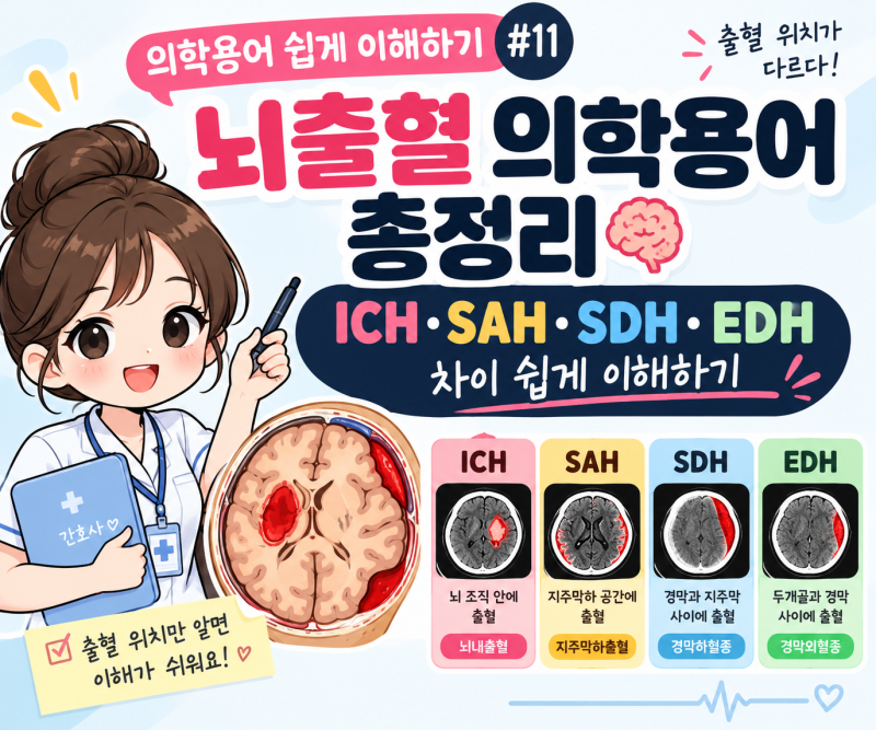 [의학용어 쉽게 이해하기 #11] 뇌출혈 의학용어 총정리｜ICH·SAH·SDH·EDH 차이 쉽게 이해하기