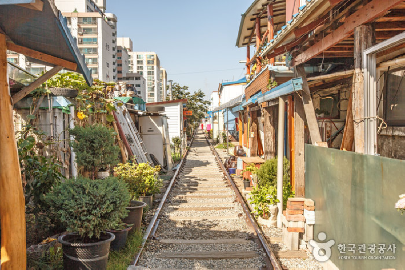 군산 가볼만한곳 2박3일 애견동반, 철길마을·은파와 실내 식사