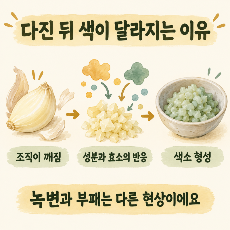 다진마늘 초록색 변색, 왜 생길까요? 녹변 원인과 보관 시 확인할 것