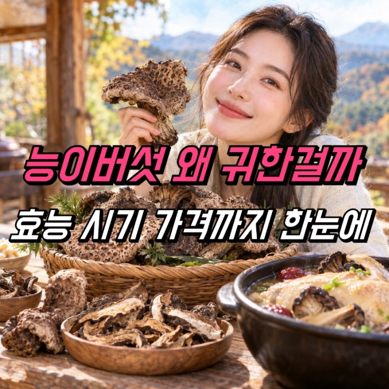 능이버섯 효능 시기 가격, 보관법 먹는법