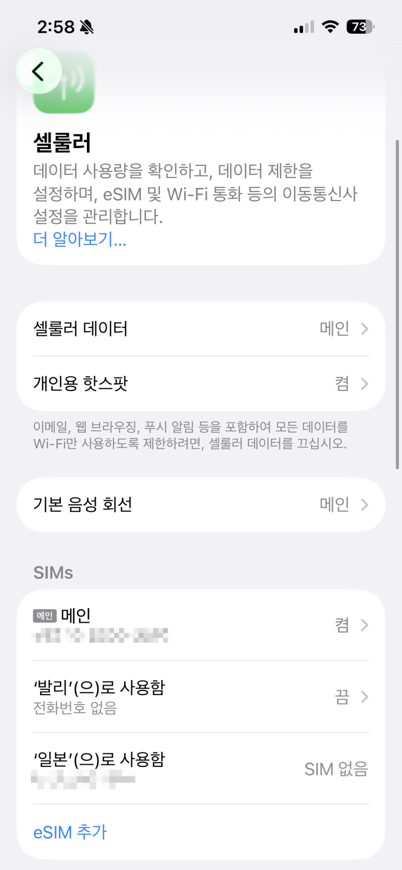 [발리 여행 필수품] 인도네시아 발리 eSIM 사용 가격·속도 후기