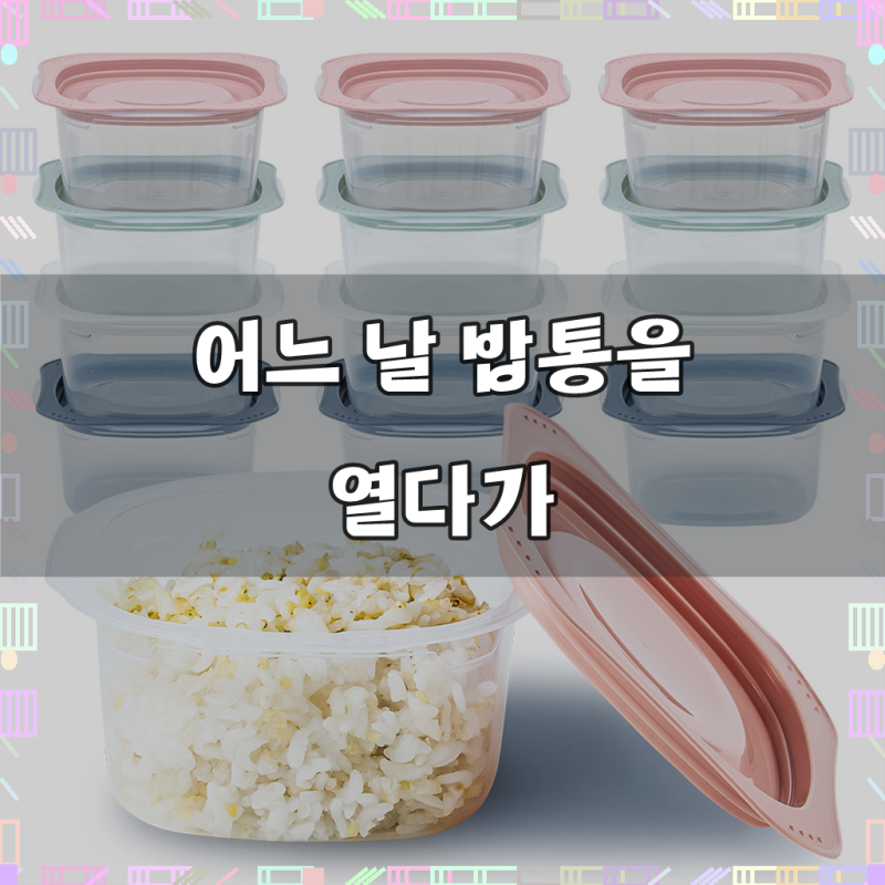 전자렌지용밥용기 국산 냉동밥보관용기 국 소분 반찬통 300ml, 혼합, 12개