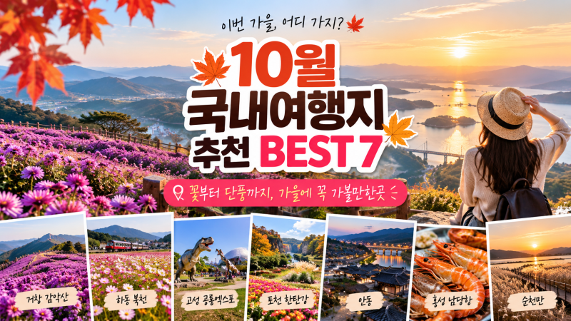 10월 국내여행지 추천 BEST 7｜가을에 꼭 가볼만한곳, 꽃부터 단풍까지