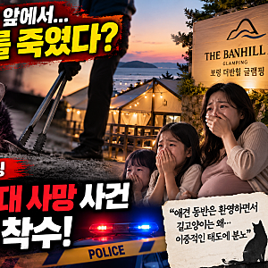 보령 더반힐 글램핑 고양이 사건의 전말과 애견 캠핑장 논란 실태 정리