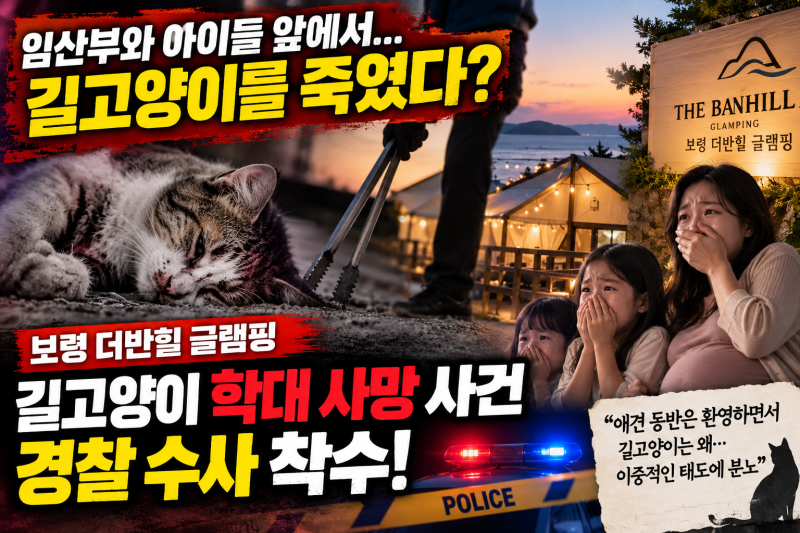 보령 더반힐 글램핑 고양이 사건의 전말과 애견 캠핑장 논란 실태 정리