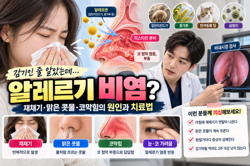 아침마다 재채기와 콧물이 멈추지 않는다면? 알레르기 비염 vs 감기 구분법 & 환절기 관리와 ....