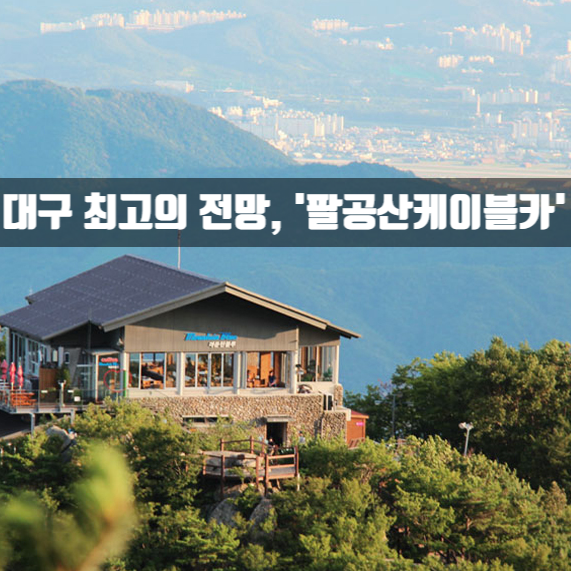 When You Think of Daegu, You Think of Palgongsan; When You Think of Palgongsan, You Think of the Cable Car! Enjoy the Autumn Foliage as a Bonus...