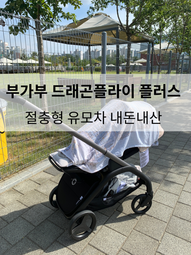 부가부 드래곤플라이 플러스 내돈내산 애개육아템 절충형 유모차