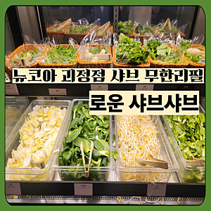 [부산 괴정] 로운샤브샤브 뉴코아 괴정점