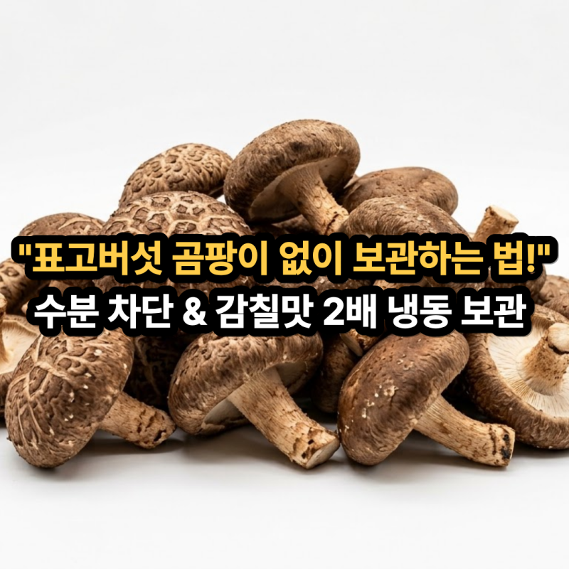 버섯 보관법 표고버섯 곰팡이 안 피게 보관하는법! 씻은 버섯 냉동 꿀팁