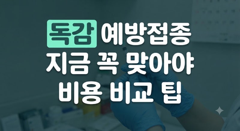 2026-2027절기 독감 예방접종 시기부터 무료 대상자, 가격 비교 팁 총정리
