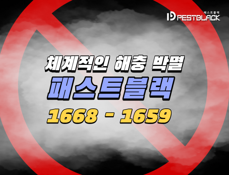 목포 방역업체 목포바퀴벌레퇴치, 싱크대 밑에서 벌레 알집을 발견했다면?